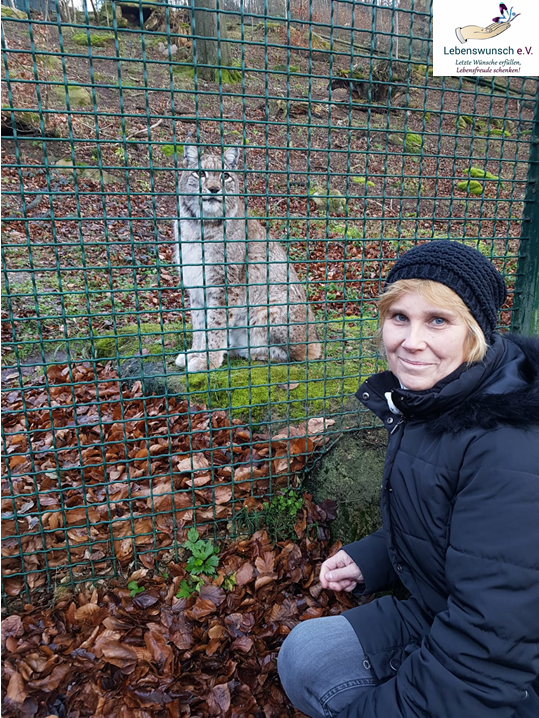 Luchs Luchs